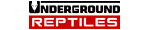Underground Reptiles