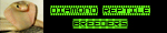 Diamond Reptile Breeders