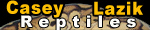 Casey Lazik Reptiles