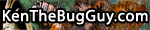 Ken The Bug Guy