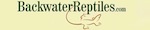 Backwater Reptiles