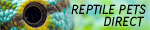 Reptile Pets Direct
