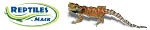Reptiles by Mack