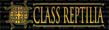 CLASS REPTILIA