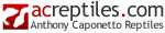 Anthony Caponetto Reptiles