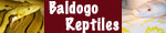 Baldogo Reptiles