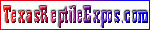 Texas Reptiles