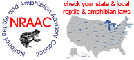 check your state and local reptile and amphibian laws
