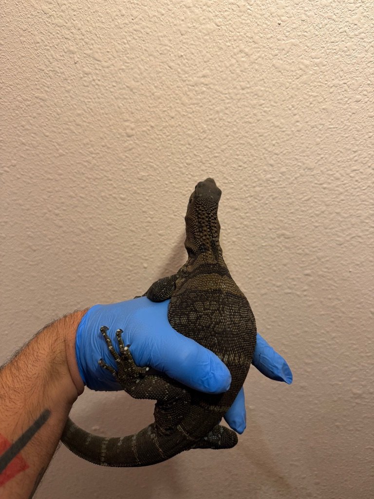 Click me