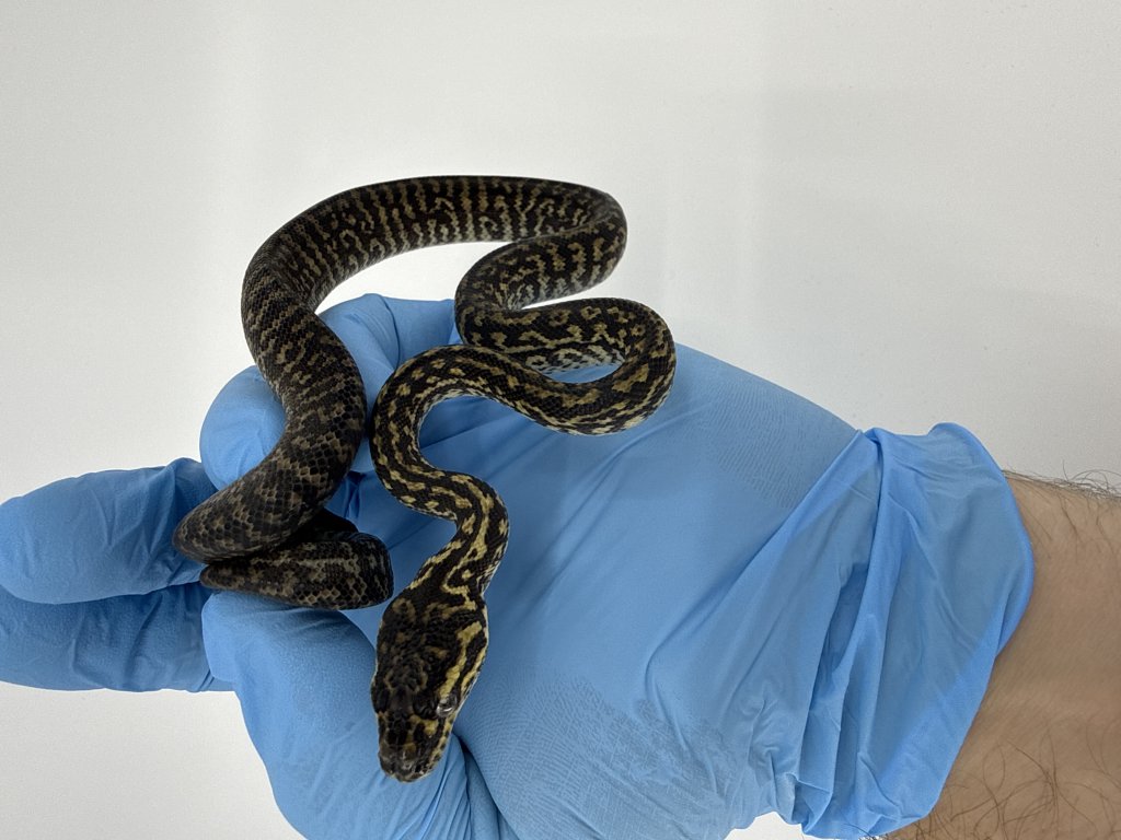 Click me