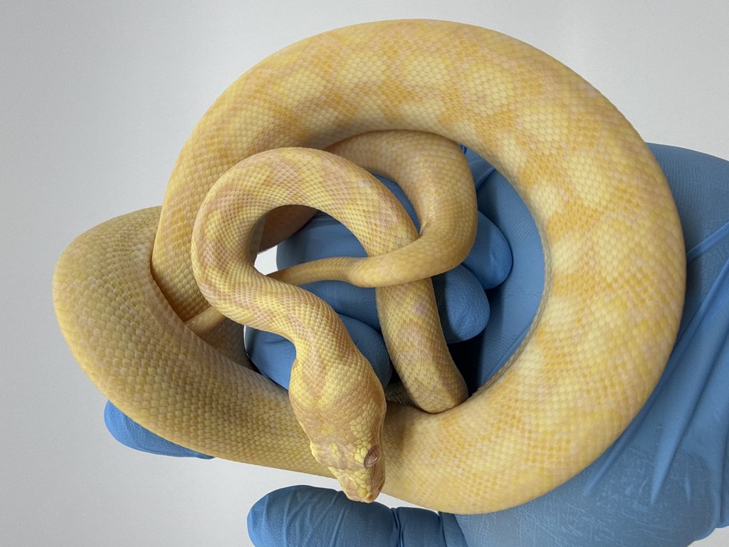 Click me