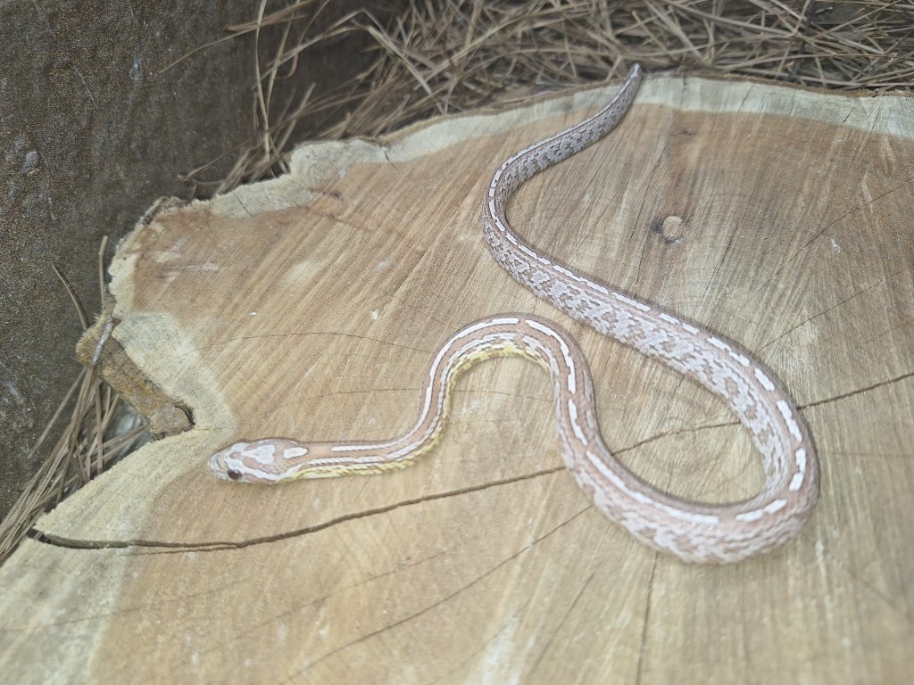 Click me