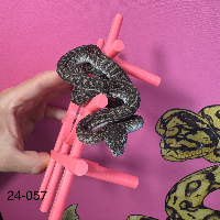 contains images
