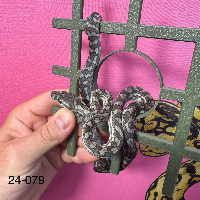 contains images