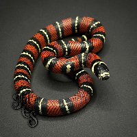 contains images