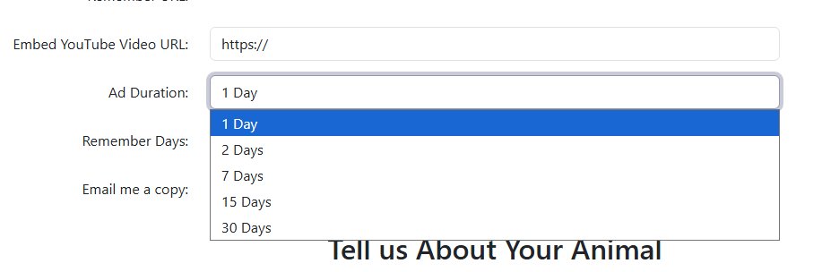 Ad Duration Example