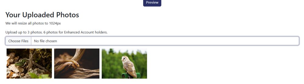 Photo Upload Example