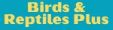 Birds & Reptiles Plus